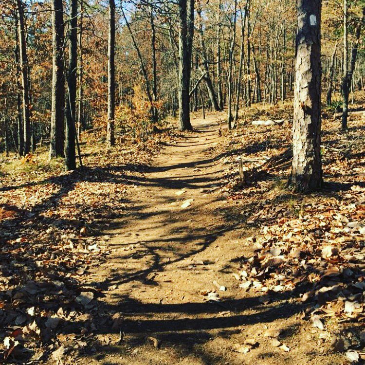 DirtySpokes1's tweet image. Good Stuff! The Dirty Spokes Mayhem on the Mountain Trail Running Race, January 6,2018  is SOLD OUT! #dirtyspokes
#altra @altra
#automationdirect @automationdirect
#barberitos @barberitos
#bigpeachrunningco @bigpeachrunningco
#clifbar @clifbar #trailrunning @trailrunnermag