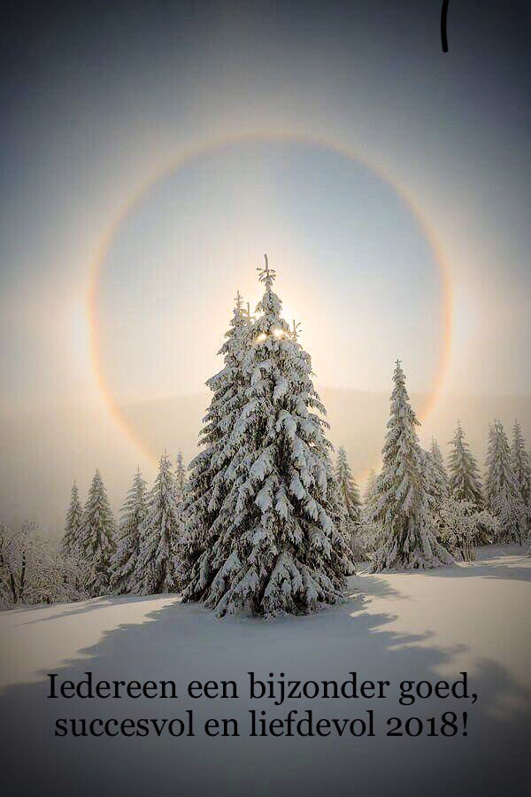 ICT-coach Venlo tweet media