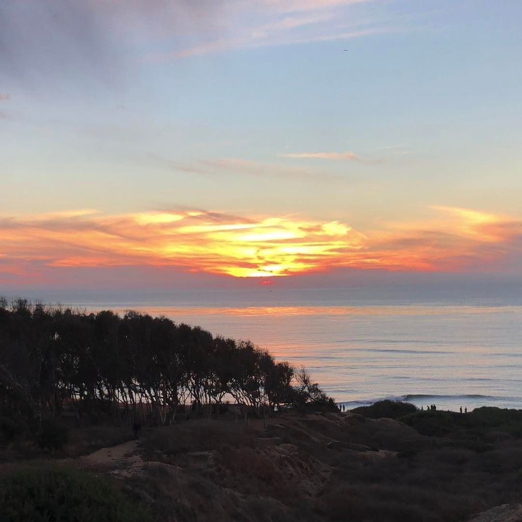 seedleSsmadneSs's tweet photo. Dude is that a flipped sdot in the sunset ? anyone else see that shit ? Happy new year budz ! 💥👌💨#trippinonseedless #seedless #thinkgreenandgrowyurmind https://t.co/xm5867xaAk https://t.co/DHjges2f2R