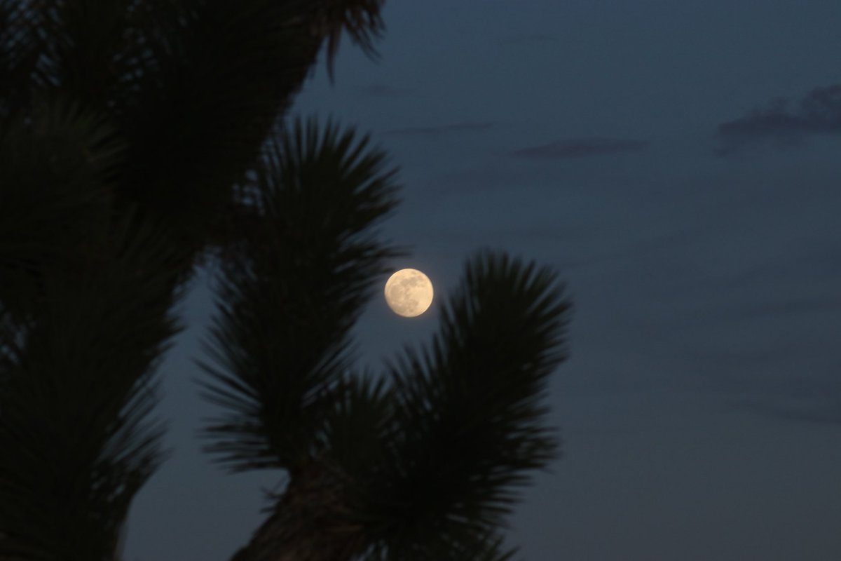 Tspring27's tweet image. 2017 corner pocket ......see ya!!!  #onefortherecordbooks. #beon12