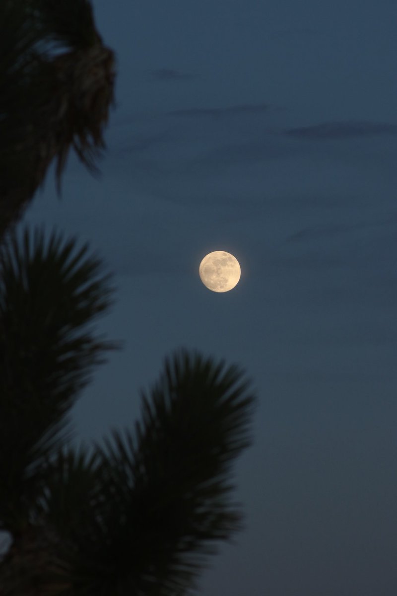 Tspring27's tweet image. 2017 corner pocket ......see ya!!!  #onefortherecordbooks. #beon12