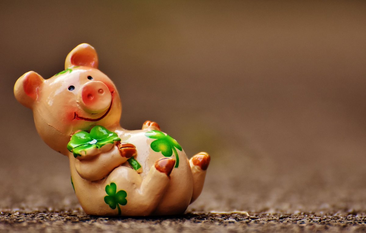 VogtOutsource's tweet photo. Wir wünschen allen einen guten Start im Neuen Jahr, viel Glück und Gesundheit!

Ihr Vogt Business Support Team https://t.co/jPj0atwhFq