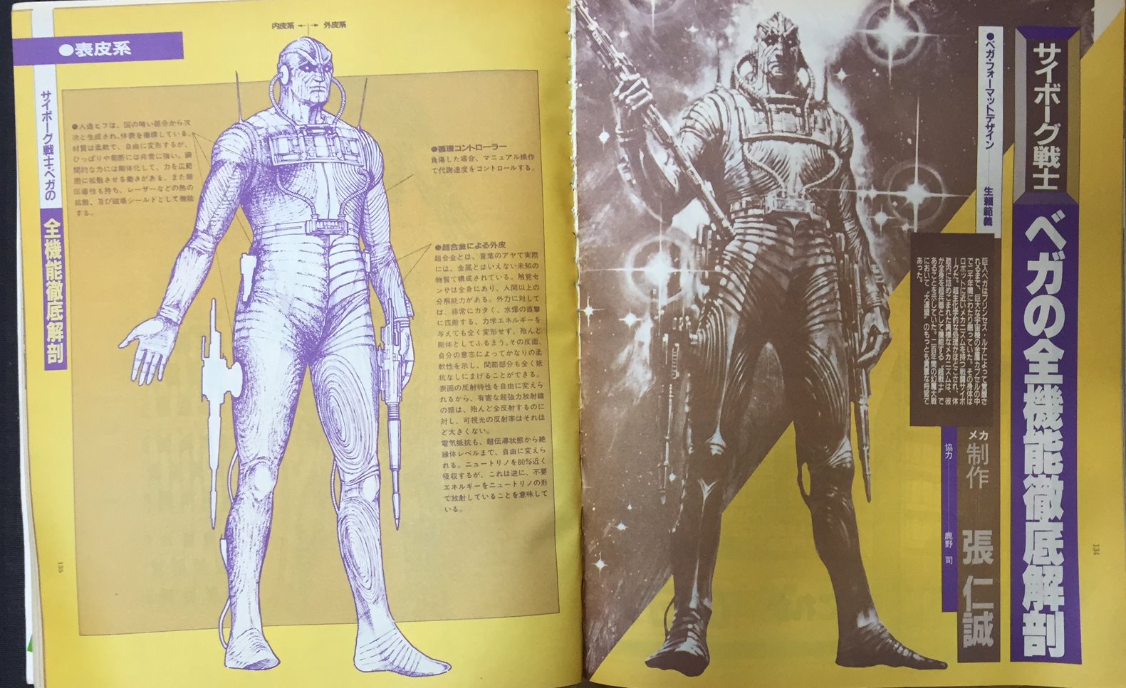 実戦・解剖学 Stay's Anatomy運動器編〜99%が理解できた解剖学オンライン講義