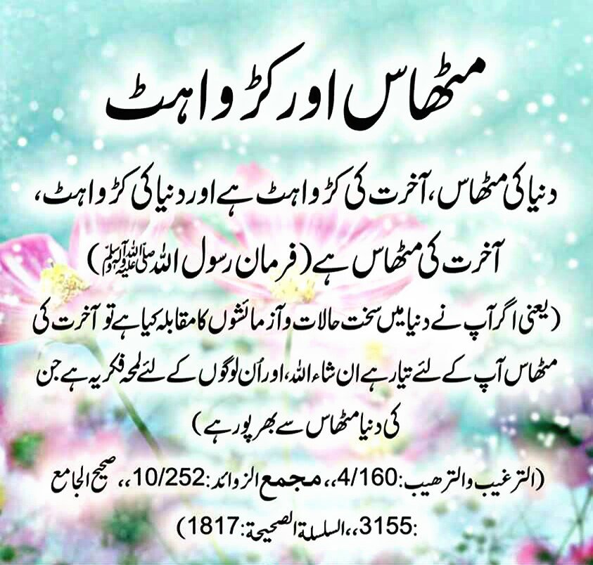 IShahzad2011's tweet photo. @MrNaassir @abide_kamran @M__Ossman @ali123456789900 @anjum_03 @AngeloElaine @HumaimaMalik162 @naaz96550053 @noorfatima100 @zuk60 @crazyeyesoz @ChefYousuf @c2a5d7f4e2eb4a0 @crazyeyesoz @CSurraiya @H0XL4QpYgcsYr5j @Gmustafamagsi @mshms5264 @julan67 @A_DesertRain @Bunga20828311 https://t.co/oxcViCjqR1