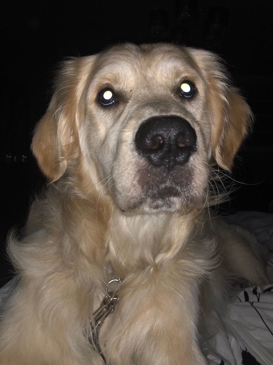 Happy New Years 2018 🤑