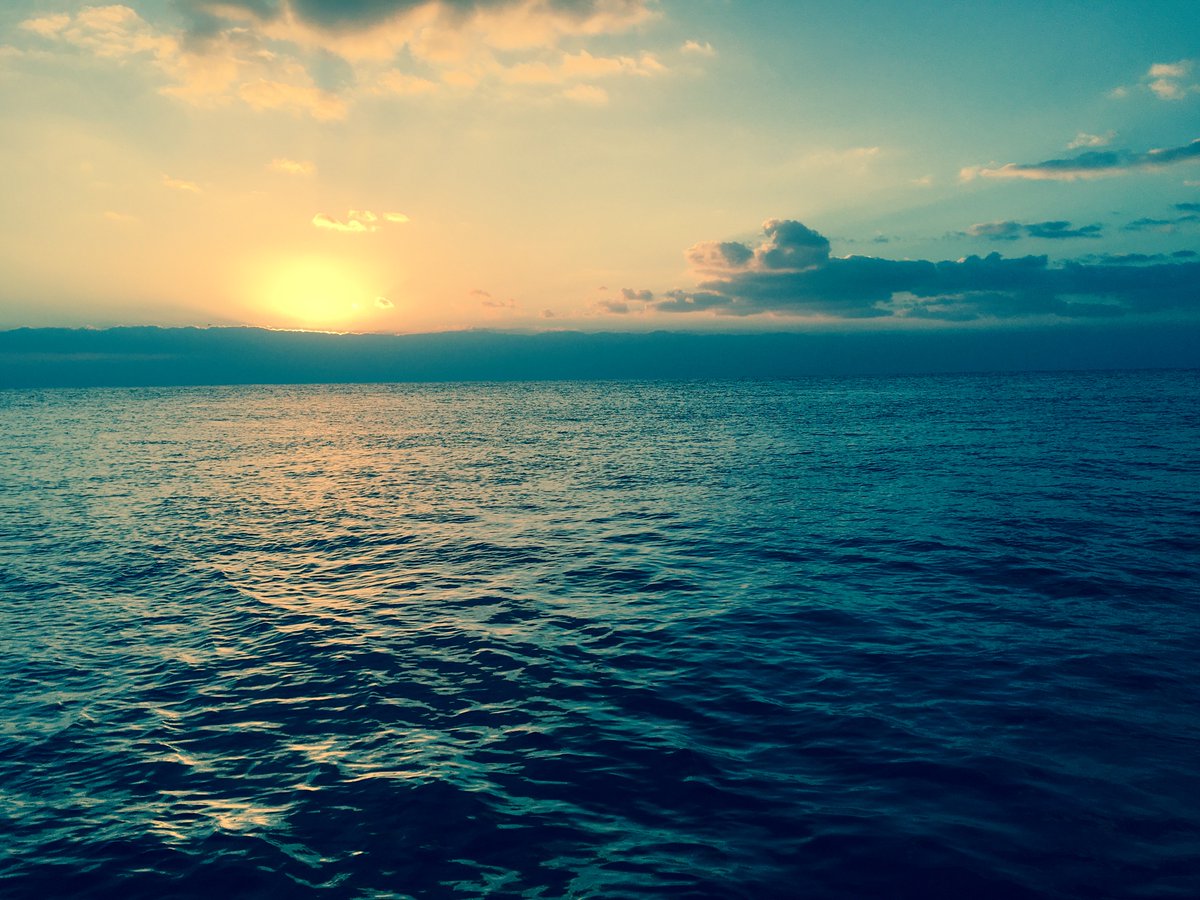 2018년 새해 복 많이 받으세요. ^^