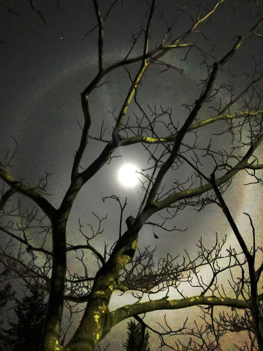 IskraJohnson's tweet photo. Happy New Year from the West Coast! #noordinarymoon #goodby2017 #moonhalo https://t.co/5jXvPShM9j