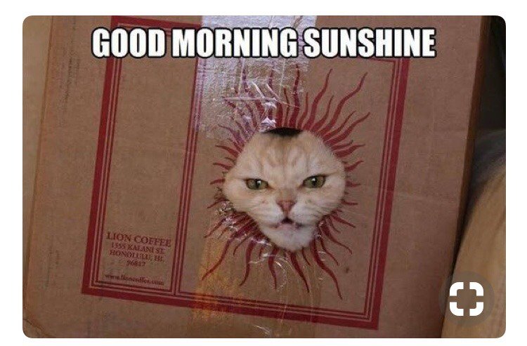 LexPanthor's tweet image. 