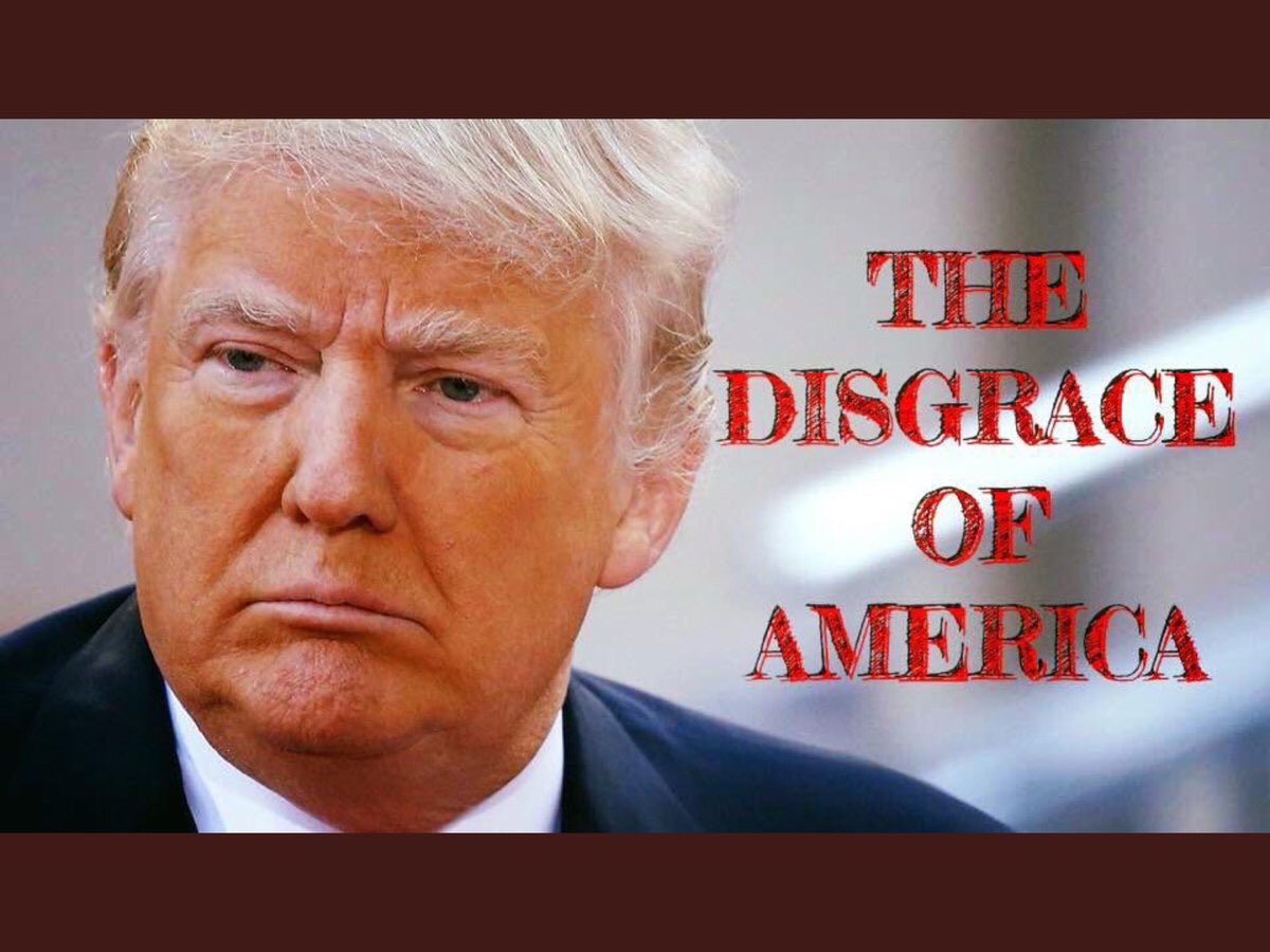 TalbertSwan's tweet photo. @TheOfficialPORP @KevinLevin @realDonaldTrump Yes, America’s most uneducated voters elected a 12-year-old in a 70-year-old body! https://t.co/QAxZESlbci