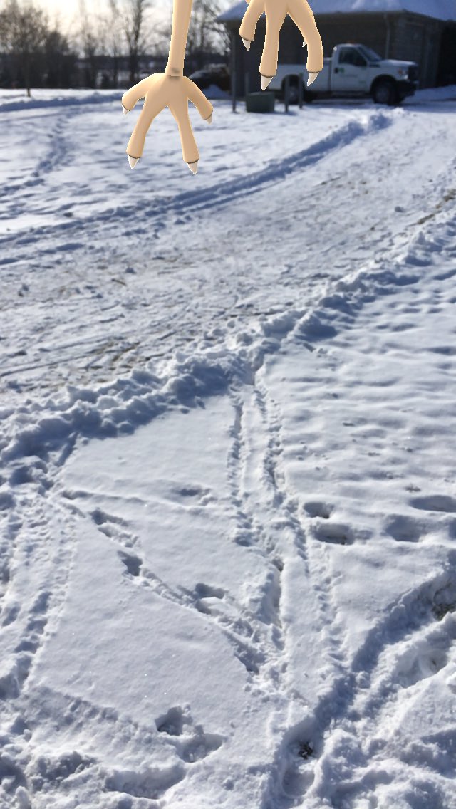 arn_the_ostrich's tweet image. My wife and I stopped by a Doduo nest on the way home from Ohio today. This one tried to fly away 😋 
@PokemonGoApp #ARplus #ExpertHandler #PokemonGO