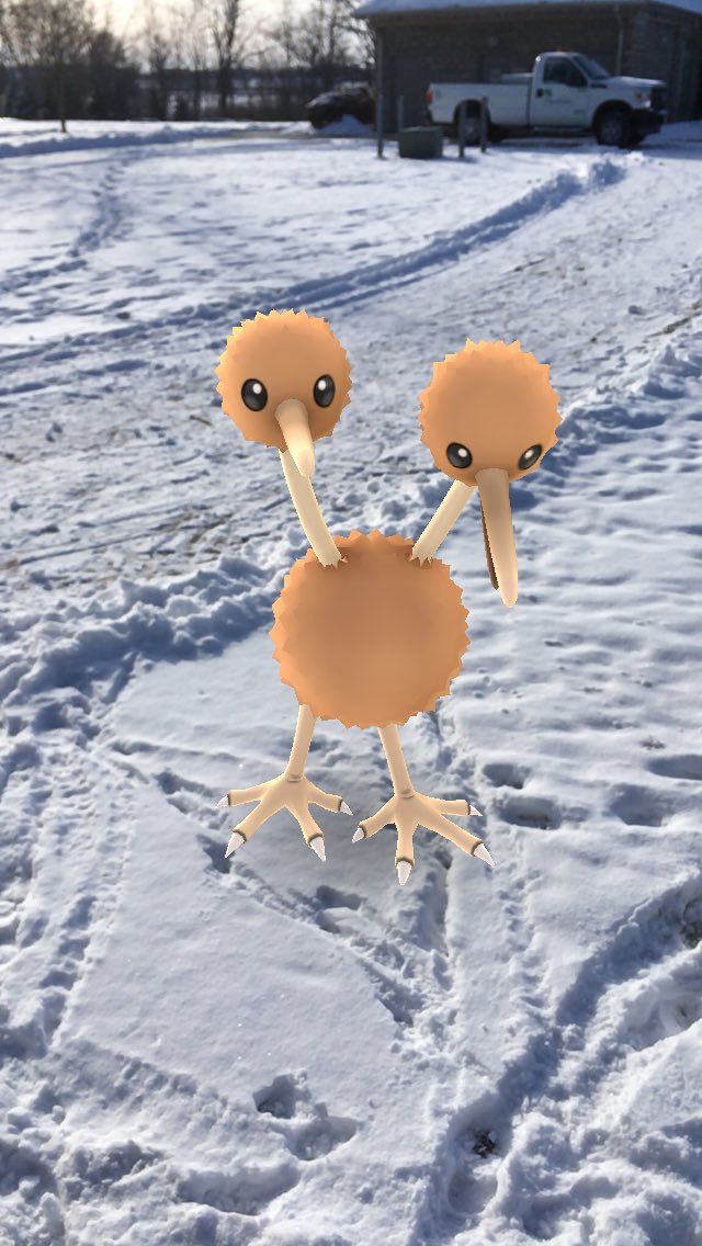 arn_the_ostrich's tweet image. My wife and I stopped by a Doduo nest on the way home from Ohio today. This one tried to fly away 😋 
@PokemonGoApp #ARplus #ExpertHandler #PokemonGO