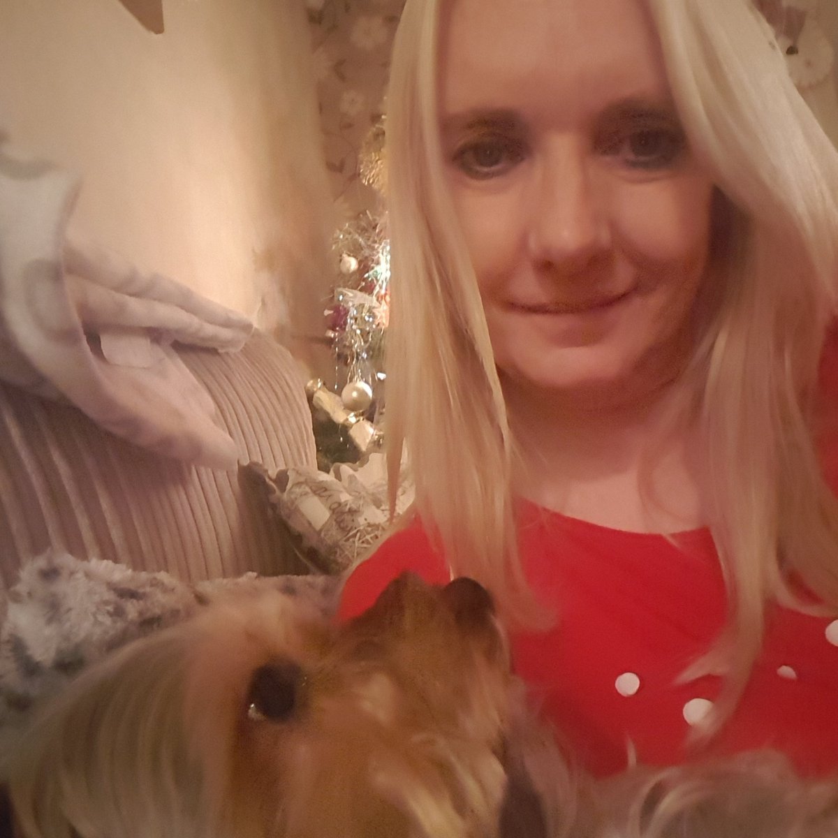 RadfordJune's tweet image. 