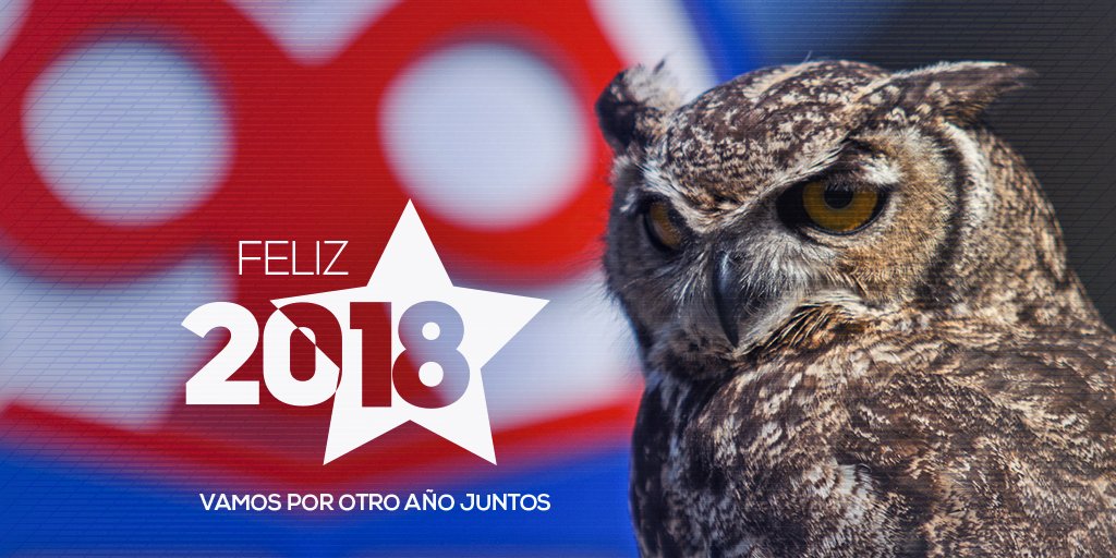 udechile's tweet photo. Brindemos camaradas para que sea un gran 2018! 🎉🎉🎉🎉

Felicidades familia! 💙 #VamosLaU 🤘 https://t.co/rzNDizZckW