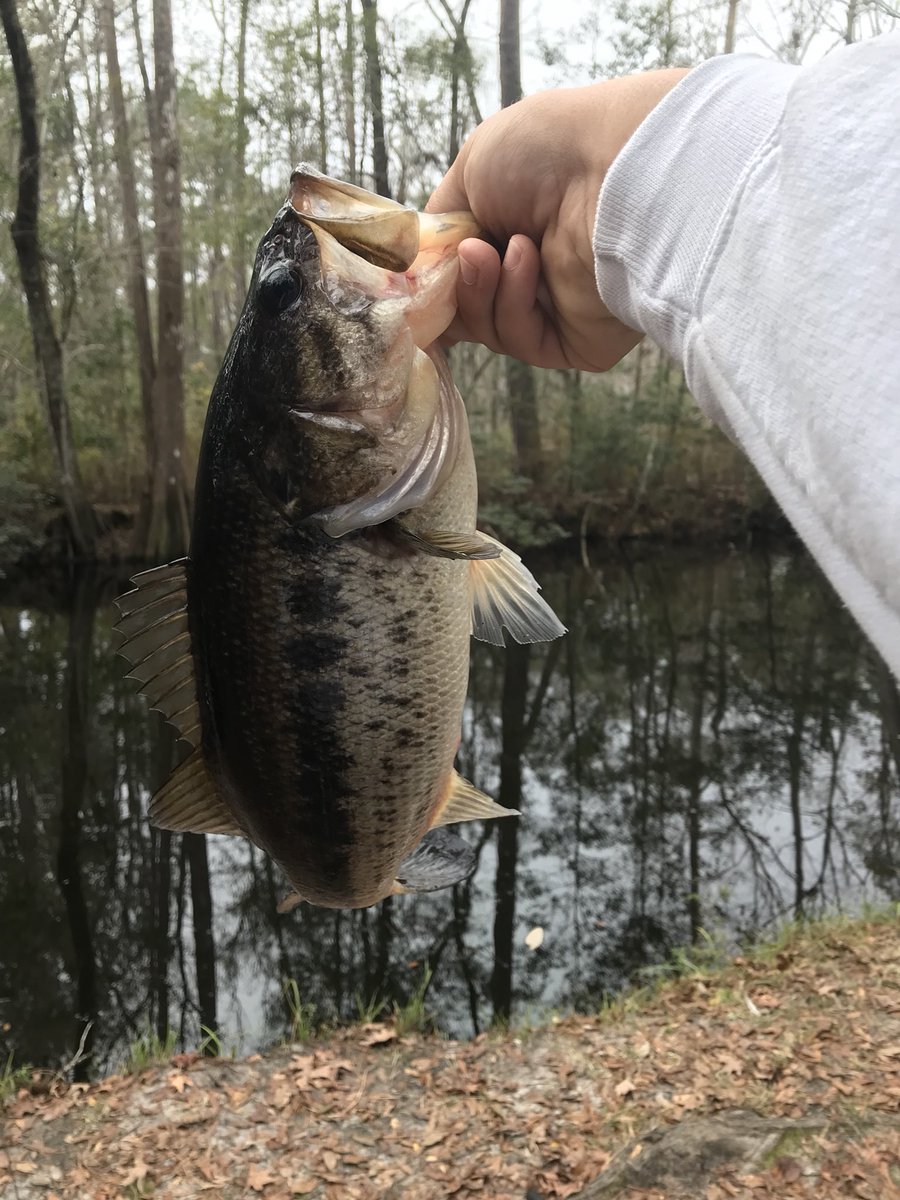 kentuckyraider1's tweet photo. Keep fishing, never stop!!! No cold will hold me down. @FishingTheMW @LunkersTV @googan_squad @FishinWithFlair @AlexPeric3 #makeeverycastcount https://t.co/6v5ggUrRiX