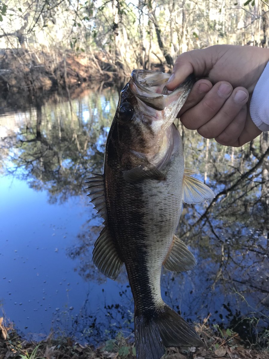 kentuckyraider1's tweet photo. Keep fishing, never stop!!! No cold will hold me down. @FishingTheMW @LunkersTV @googan_squad @FishinWithFlair @AlexPeric3 #makeeverycastcount https://t.co/6v5ggUrRiX