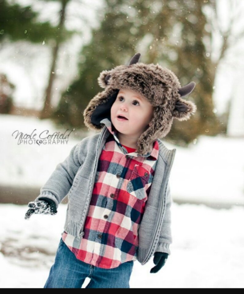 MiniFoxWolf's tweet image. 