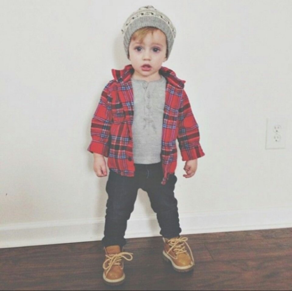 MiniFoxWolf's tweet image. 