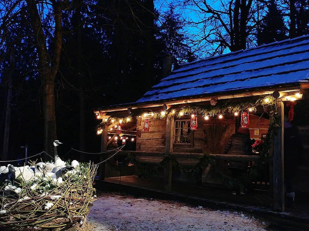 yibaoAC's tweet photo. Lights and goose...#2017bestnine #instagram #explorebc #hellobc #vancouver #beatifulbc #imageofcanada #christmastree #christmas #merrychristmas #happynewyear #lights #burnaby #burnabyvillagemuseum #2018 #swan #goose #narcityvancouver #dawn #birds https://t.co/7boFToMFlq https://t.co/BdV5sVfkn5