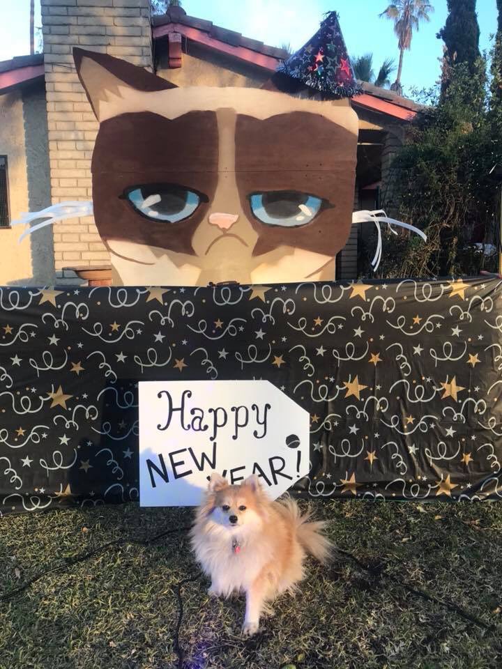 Foxy wishes you all a very prosperous 2018 full of bacon, biscuits and endless nummies! 🦊🎉🥓

#poms #pomeranian #pomeranians #cutedogs #cute #fluffy #grumpycat #grumpy #HappyNewYearsEve #HappyNewYear2018 #HappyNewYear