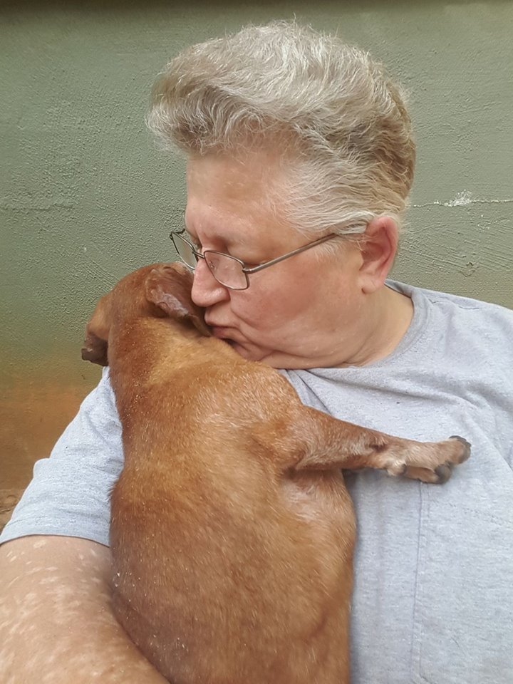 3daxs's tweet photo. Senior foster rocks, says Sara! https://t.co/g6vpBKp5cr