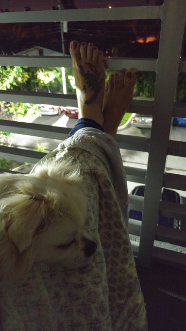 Just taking it easy this New Year's https://t.co/7SZDo1NHvM<a href="/tag/femdom"class="tags"><span>#femdom</span></a><a href="/tag/whipabitch"class="tags"><span>#whipabitch</span></a>