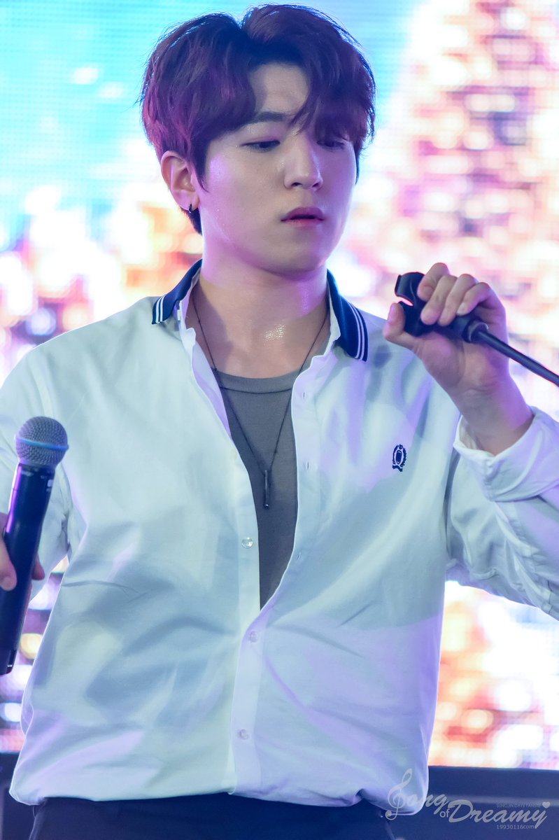 Song of Dreamy tweet media