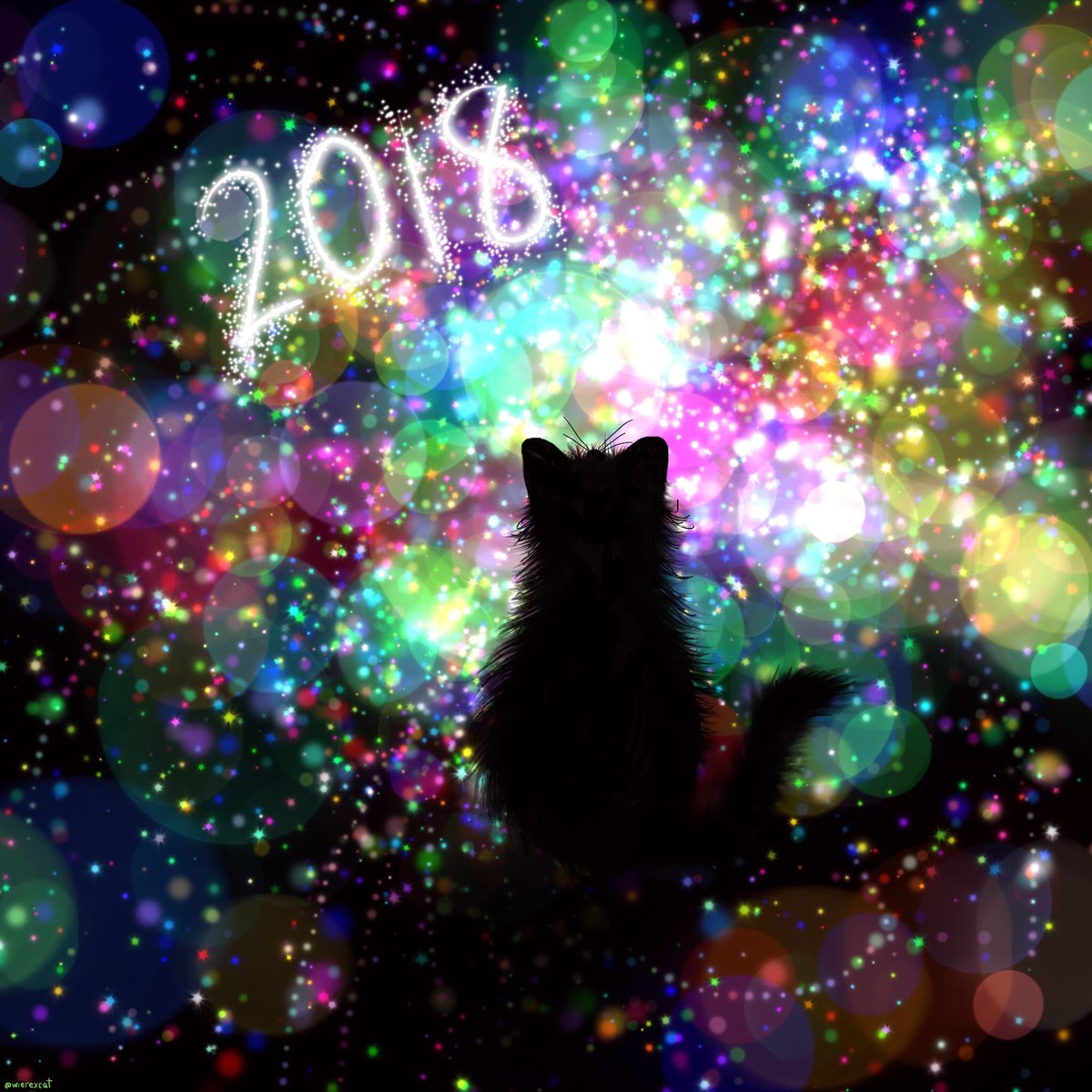 wierexcat's tweet photo. Happy New Year to all the #CatsOfTwitter! https://t.co/gvwjF89jCl