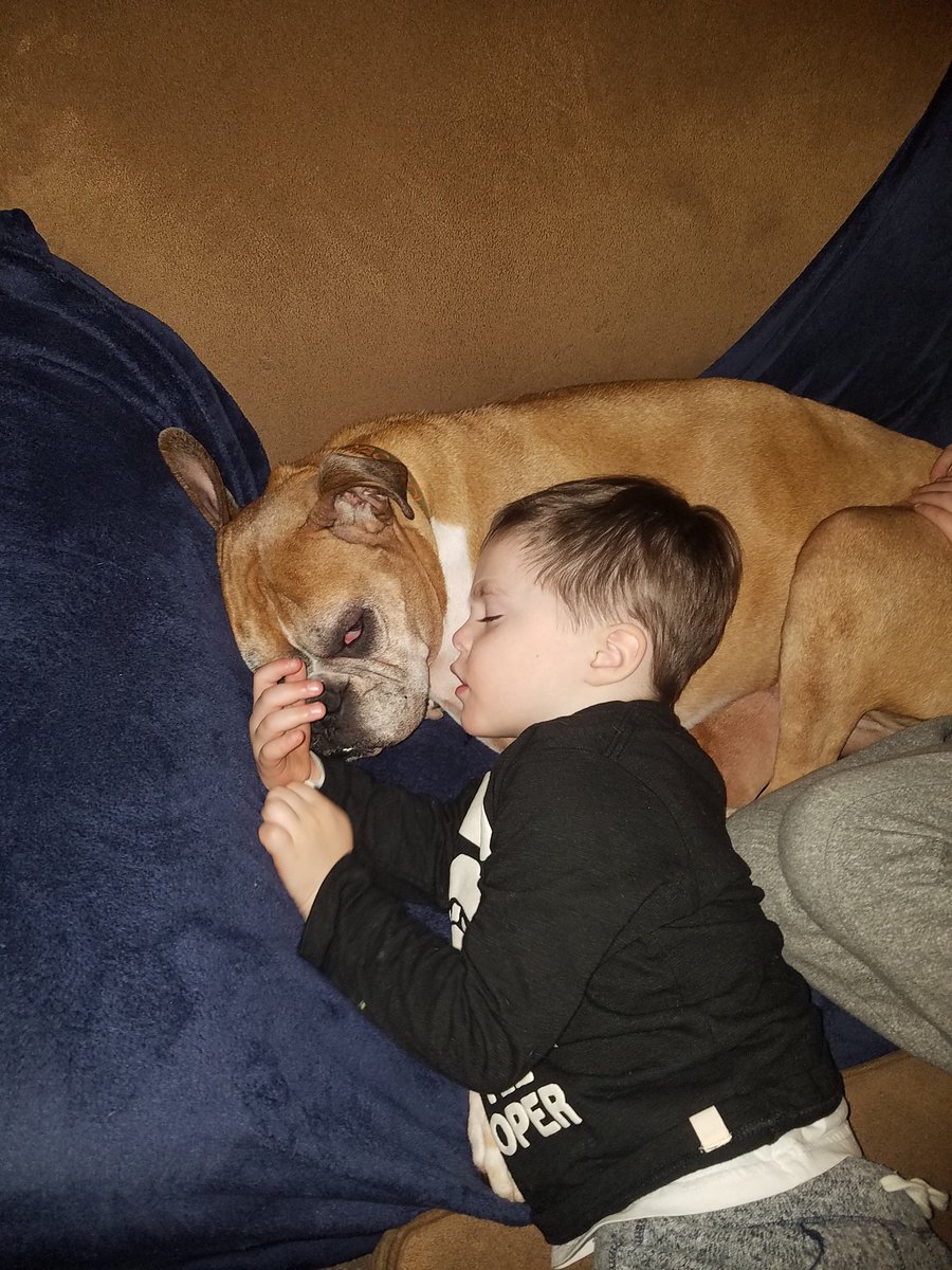 ChicagoFols's tweet photo. I swear they tried to stay up watching @WFRVNews #FirstEve #FirstEve2018 @OnlyTheFoley #RollinInto2018 https://t.co/ZLIEXh2jUC