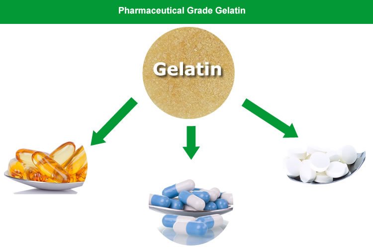 Is Fish Gelatine Halal Hanafi - Gelatine In Islam Is Gelatine Halal The Halal Life / Is fish gelatine halal hanafi / halal gelatine, edible gelatin (fish gelatine,cow and beef.