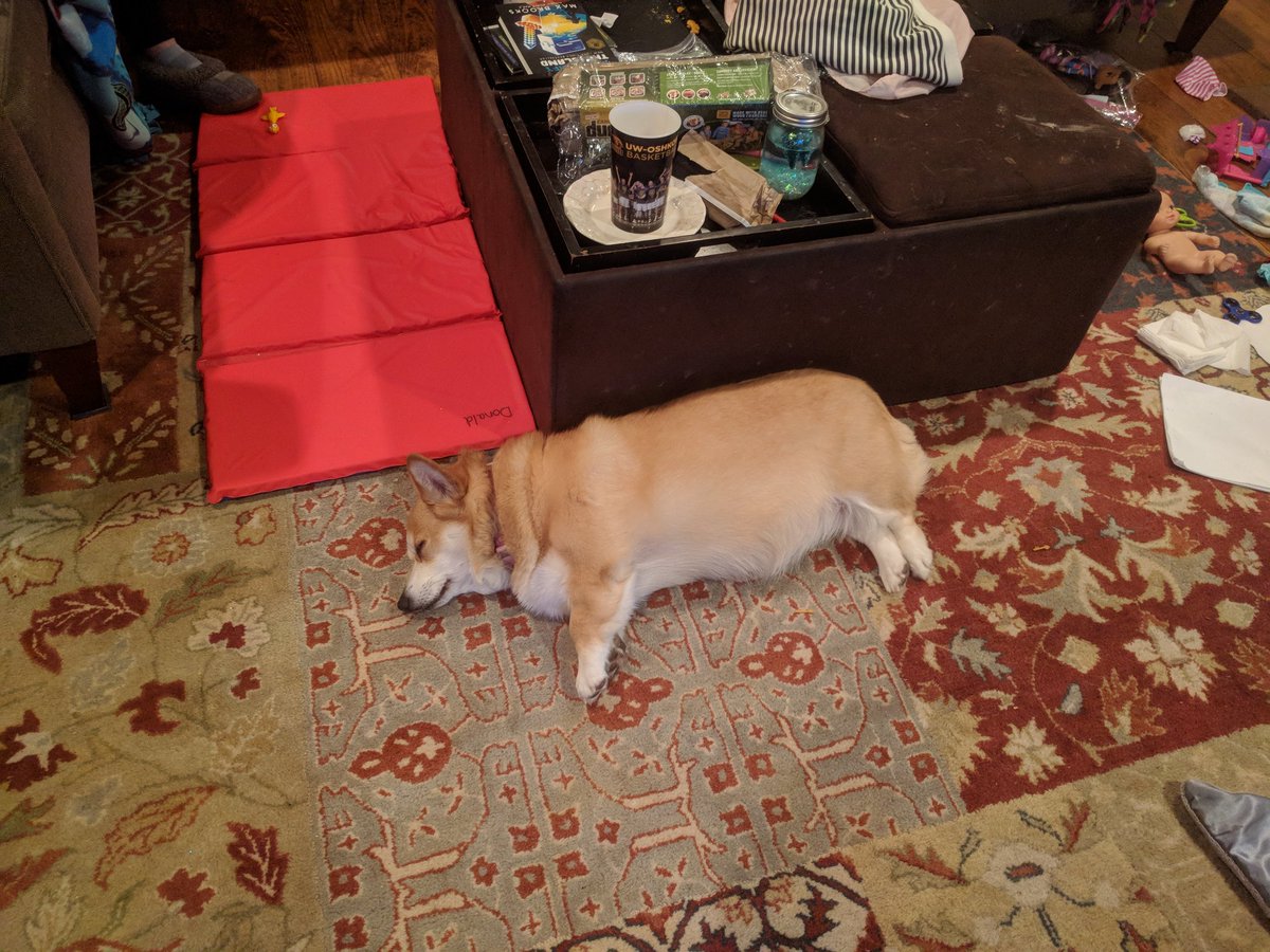 wnm1973's tweet photo. We are almost to midnight... gonna make it.... The rest of the family didn't do so well. #FirstEve2018 https://t.co/AdjQ5FpA8Q