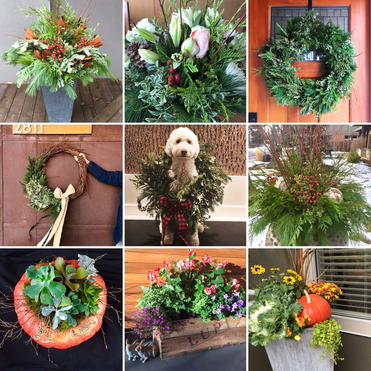 Best 9 of 2017. 
Excited for the new year!!
#justgettingstarted