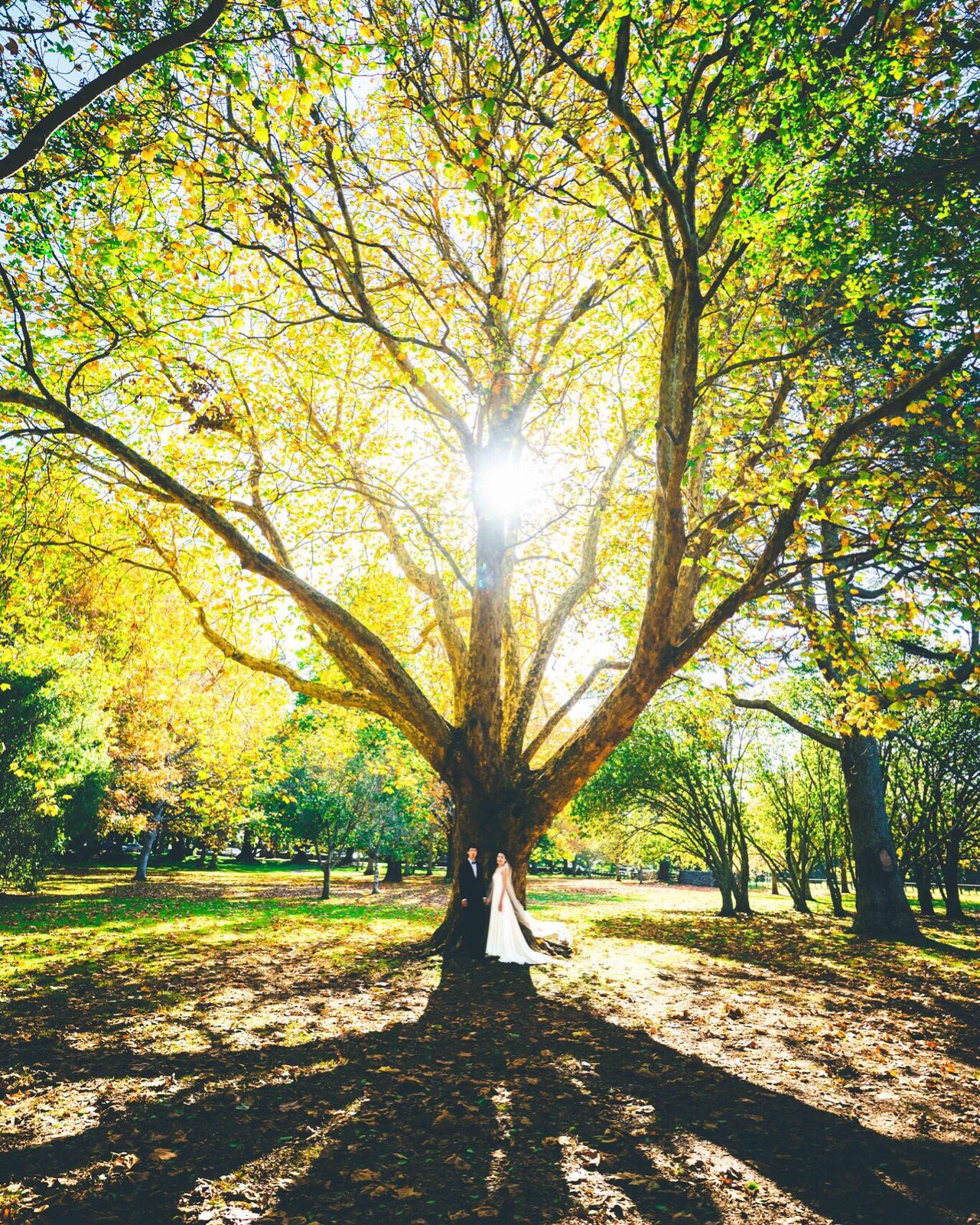 四角大輔 新刊 超ミニマル主義 5刷 新年の大切なお知らせ 結婚しました イビツな生命体であるぼくのダメを補ってくれる片われに巡り会いました これからはふたりで 1つの完全体 を目指すべく努力を続けます ちなみに 相手は魚や野鳥でなく人間の 四角大輔 新刊 超ミニマル主義 5刷 新年の大切なお知らせ 結婚しました イビツな生命体であるぼくのダメを補ってくれる片われに巡り会いました これからはふたりで 1つの完全体 を目指すべく努力を続けます ちなみに 相手は魚や野鳥でなく人間の