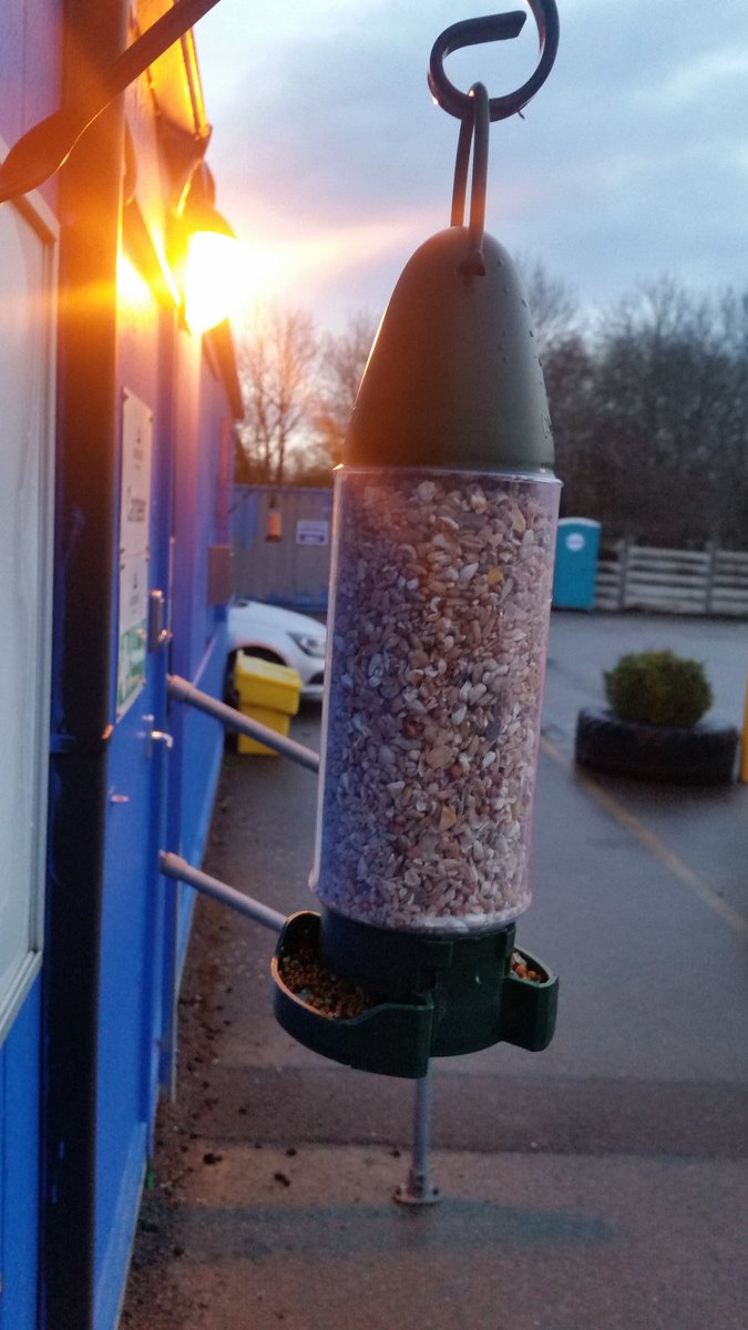 ExpressRedditch's tweet photo. Signs of the bird feeders being used over the Christmas break, spotted a robin using them this morning. https://t.co/vOzw6Wczn3