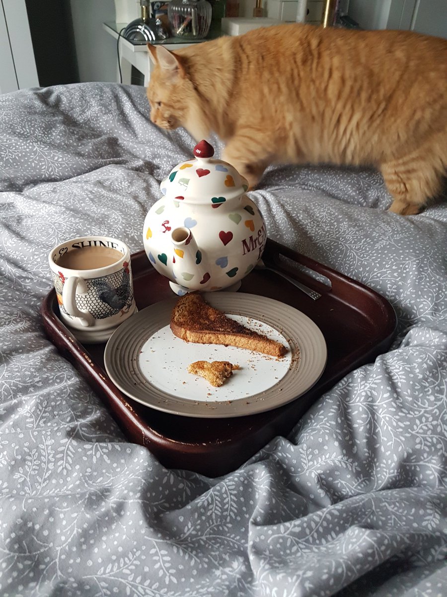 Budgy5's tweet photo. Breakfast in bed and ginger fluff! Yes! #NewYearsDay #CatsOfTwitter @EmmaBridgewater https://t.co/b2FhrI8i80