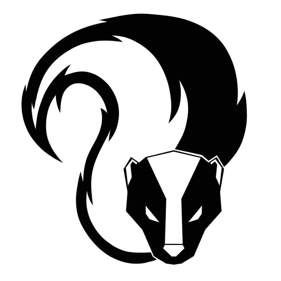 skunksultimate's tweet image. #NewYearNewMe
#NewProfilePic
#HappyNewYear 

Wishing everyone all the best for 2018!