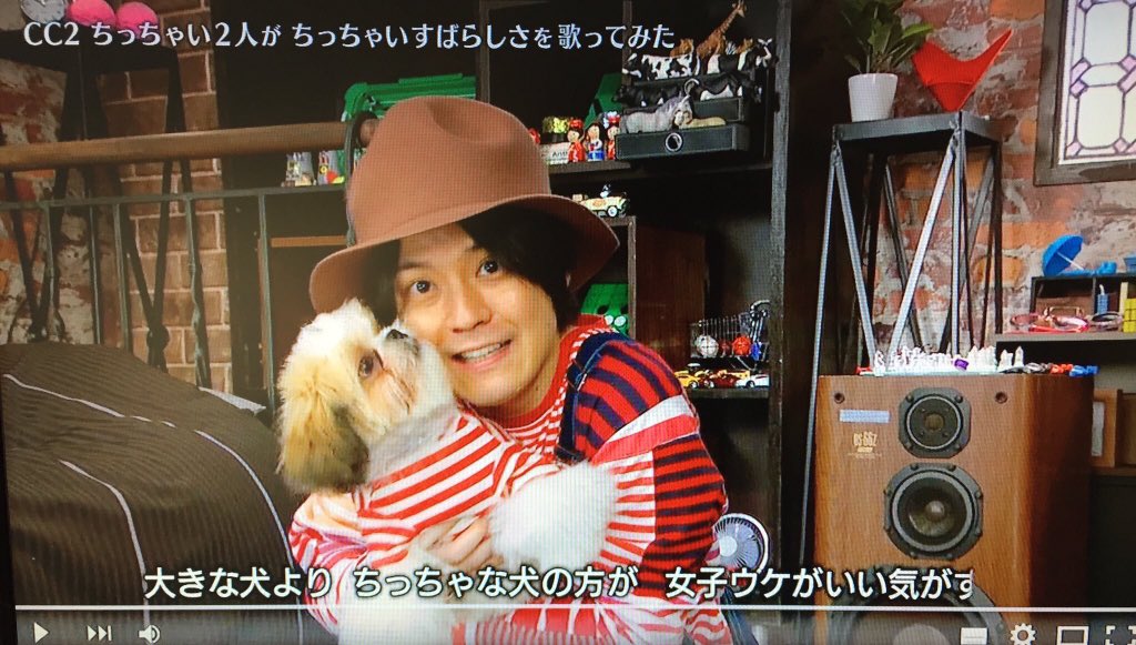関ジャニ∞ - 犬を飼うということ 関ジャニ∞ 錦戸亮主演ドラマ主題歌！｜HMV&BOOKS onlineニュース