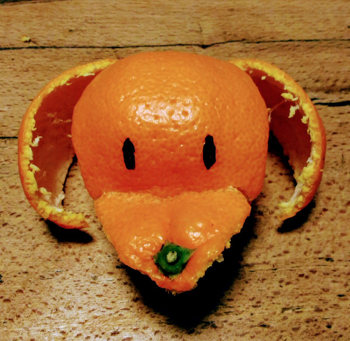 糸 犬でけた みかんアート