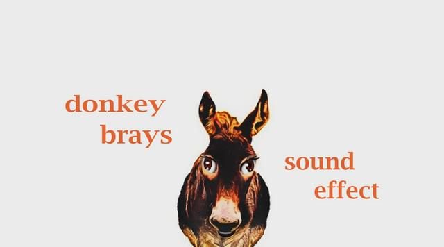 tramp963's tweet photo. #How A #Donkey #Brays - #Sound #Effect - #Animation
#donkeyVideo #forKids #animalSound #farmAnimals
https://t.co/FXOkS75DtL https://t.co/nMzrfB0NFm