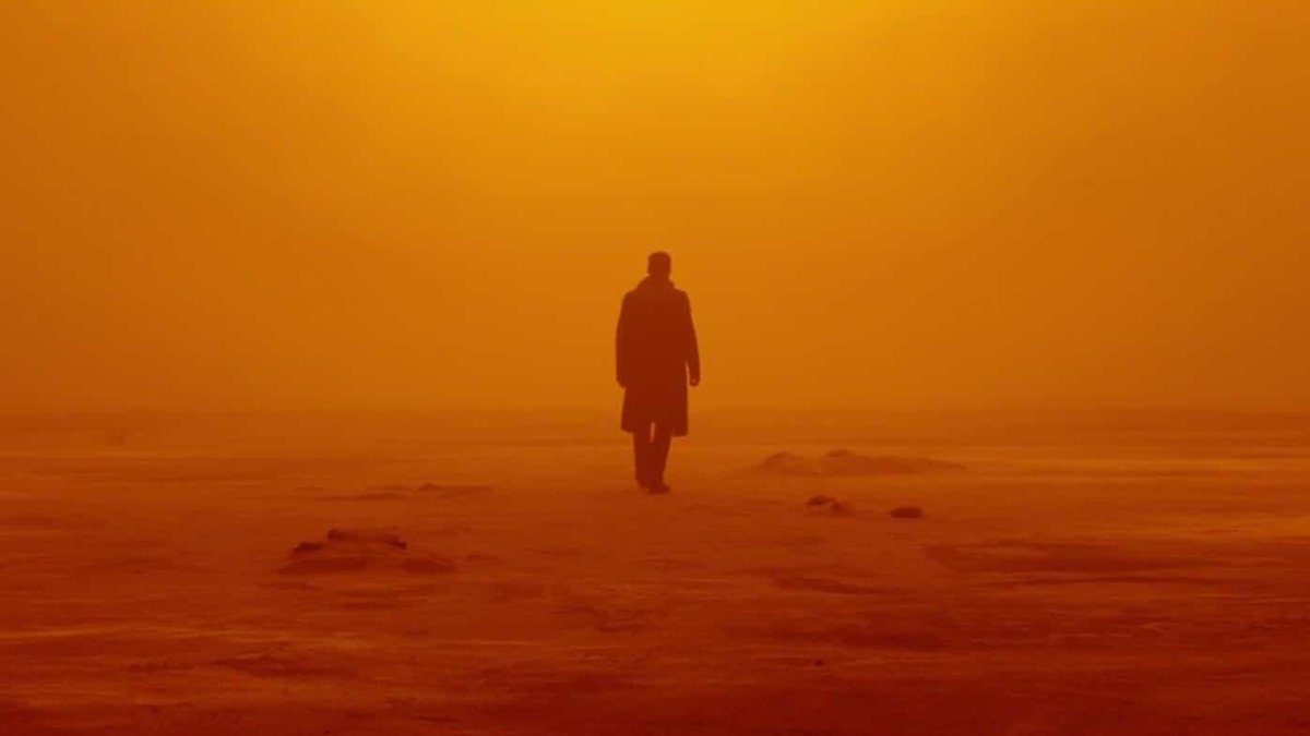SamEyeAm5's tweet photo. Slightly limited in the film watching this year, highlights were: 
Get Out
Blade Runner 2049
La La Land
Paddington 2
Manchester By The Sea
Dunkirk
Star Wars:The Last Jedi
T2: Trainspotting
The Big Sick
20th Century Women
#topfilms2017 #cinemaislife https://t.co/ktKkBv2spX