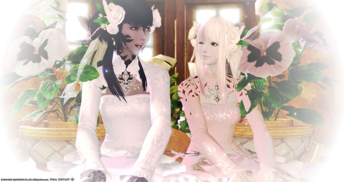 もも つーちゃんとぱんつ君のエタバン記念ssを撮らせていただきました タイプの違うメスラｘメスラ素敵でした ぱれすた 白の部屋 Ff14 未加工ss Gposeff14 アウラ