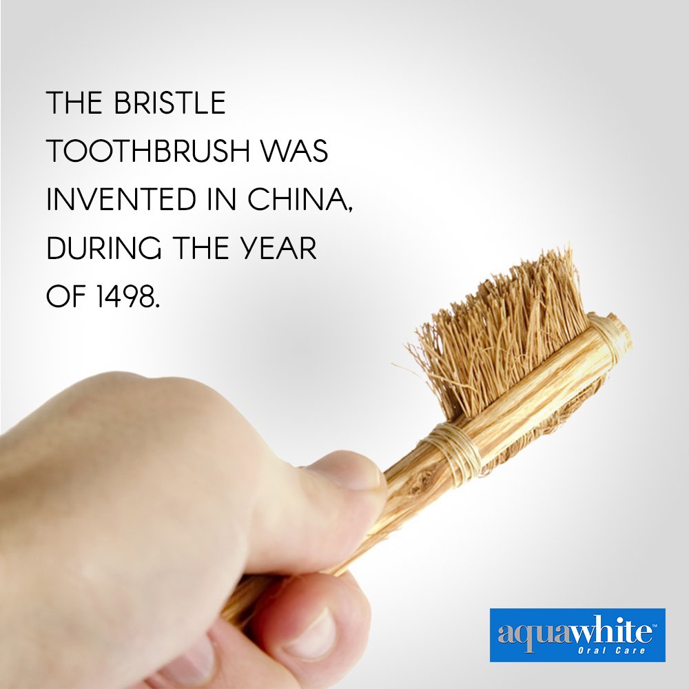 aquawhiteindia's tweet photo. The bristle toothbrush was first invented in China, during the year of 1498!
#FirstToothbrush #BristleToothbrush #InterestingFact #Toothbrush #FirstInvention https://t.co/pw9cp0kUzs