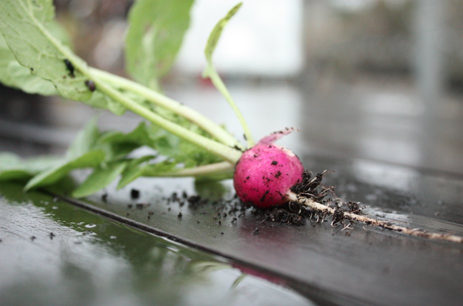 IT'S NEW YEARS EVE! Last day of 2017, what happened to this year? At least we're a tiny bit closer to spring so that's nice