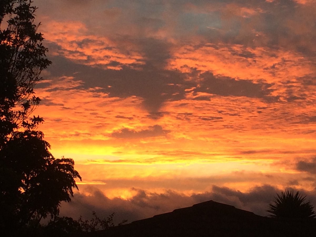 LaurenMichela1's tweet image. #firstsunset #2018 #Auckland @PhilipDuncan @MetService pretty awesome!