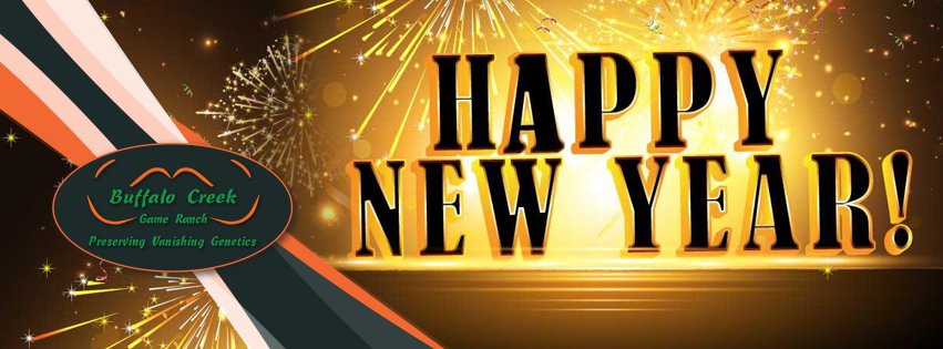buffalocreekSA's tweet photo. Happy New Year!
May all your dreams turn into reality and all your efforts into great achievements. 
#BuffaloCreekGameRanch #WildlifeLegacy #GameBreeding https://t.co/akvoGBgkpw