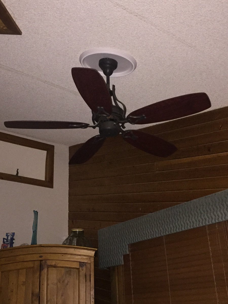 Executive Director On Twitter Oh And Ceiling Fans And