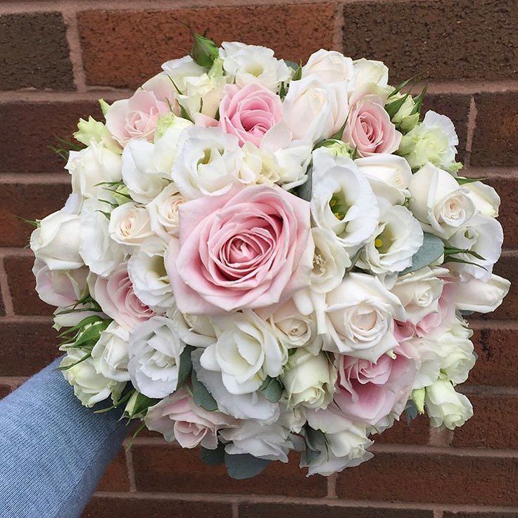 MeijerRoses's tweet photo. Kicking off 2018 like a boss with this beauty from @theherefordshireflowerstudio
.
.
.
#meijerroses #flowers #flowerstagram #flowerpower #weddings #weddinginspiration #flowerslover #weddingflowers #weddingideas #bride
#flowermagic #weddingday #weddingsty… https://t.co/PjQ0xl63M3 https://t.co/uNjg348HTM