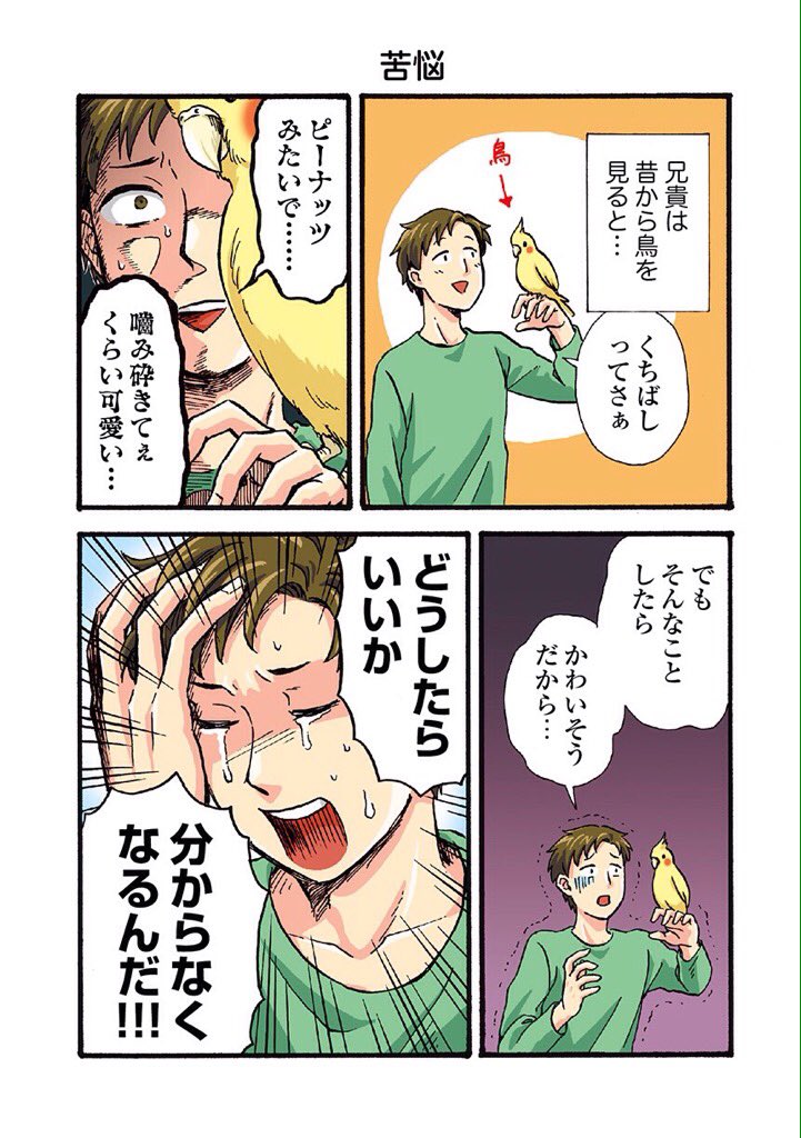 明けましておめでとうございます。今年の兄貴もこんな感じだと思いますがよろしくお願いします。
うちの兄貴の様子がおかしい。 第30話 苦悩 | ダメ山角子
#pixivコミック
