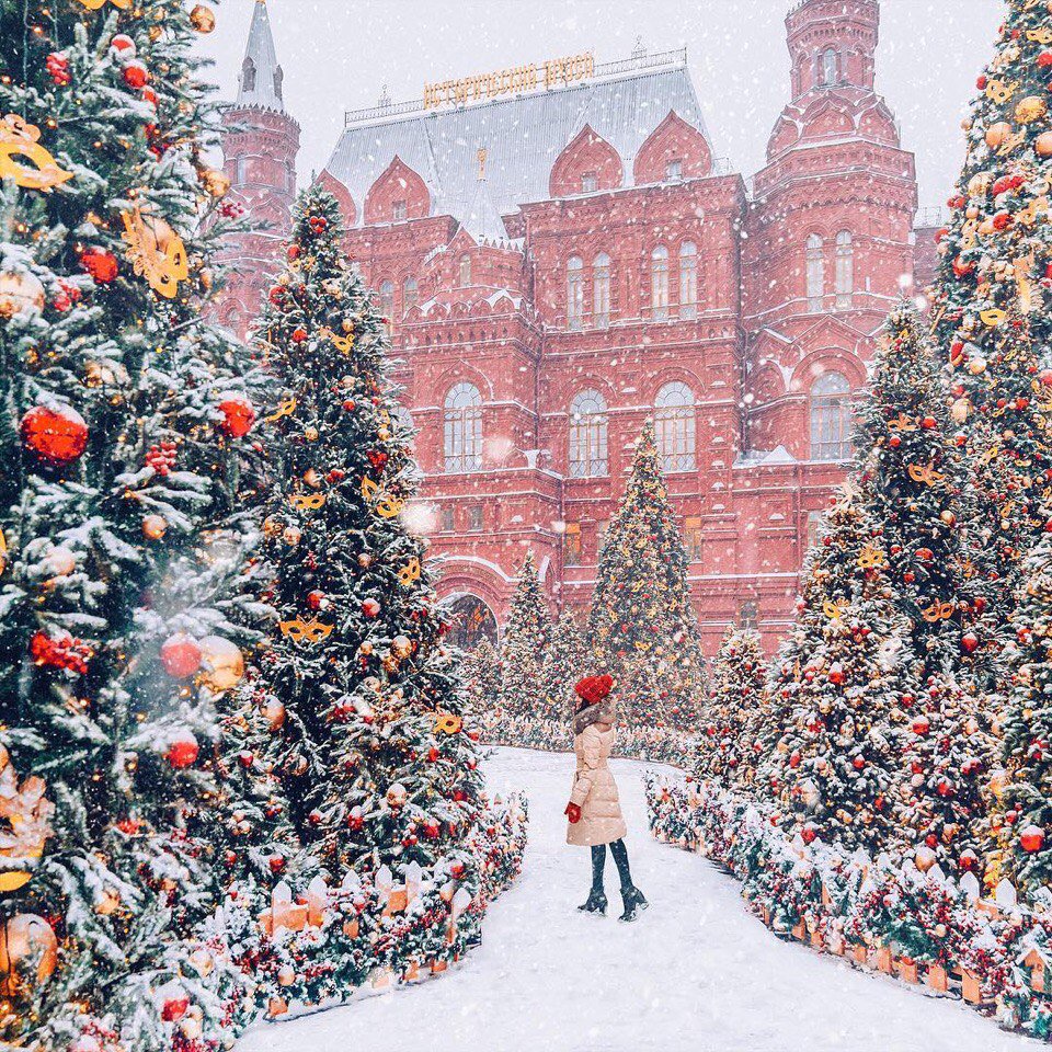 AndreiAndrei63 tweet picture