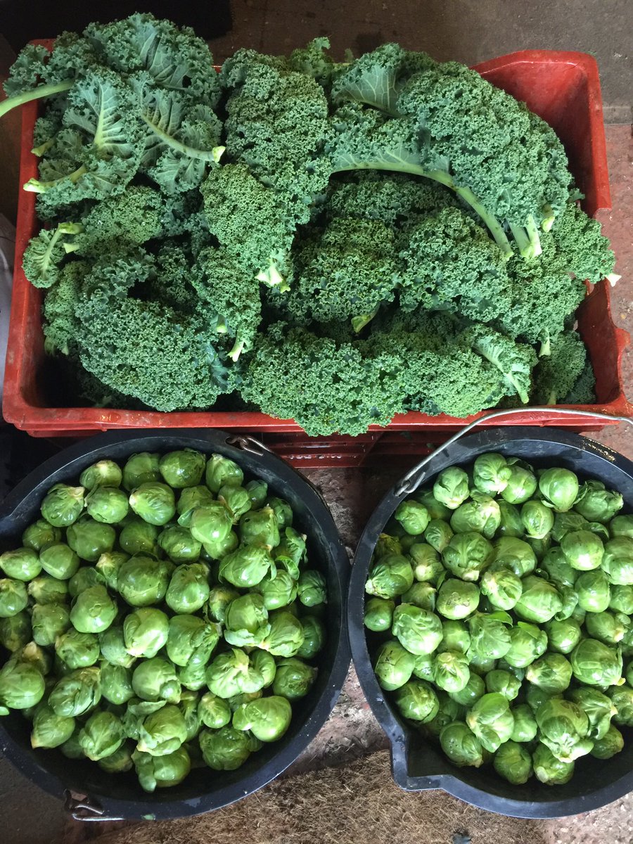 Gold Hill Farm Shop tweet media