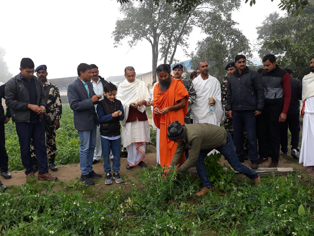 madhavi aquaponic farm - aquaponic